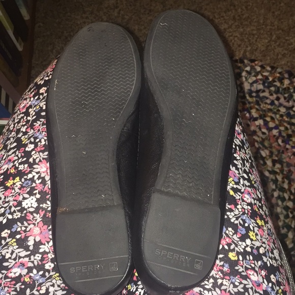 Sperry flats - Picture 4 of 6